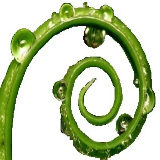 LABirINTO
